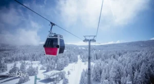 Kurumsal Web Sitesinde Olmazsa Olmaz 10 Sayfa