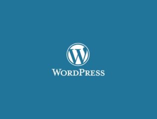 WordPress Nedir ?