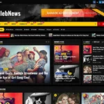 WordPress Celebnews haber teması