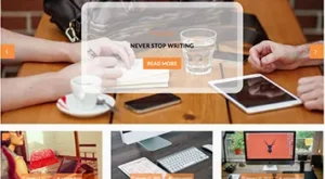 Weblog WordPress Haber, Blog teması