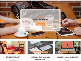 Weblog WordPress Haber, Blog teması